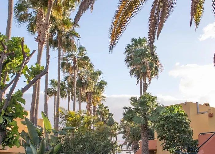 Atlantic Garden & Surf 166 コラレホ