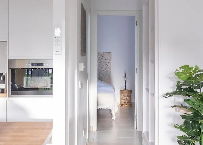 Atlantic Garden & Surf 166 * コラレホ